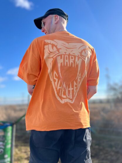 HARM/SHELTER "Tangerine Snake" - Image 4